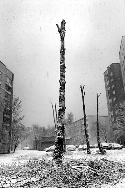 Фотопроект 7*7. Фото: Наталия Дорош
