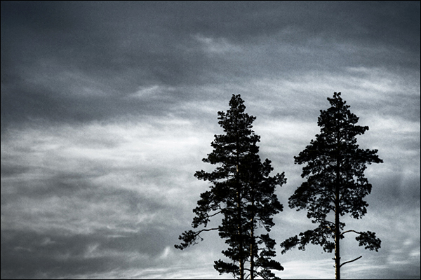 Фотопроект 7*7. Фото: Альфред Микус