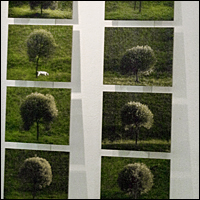 Метафизическая фотография Сергея Кожемякина