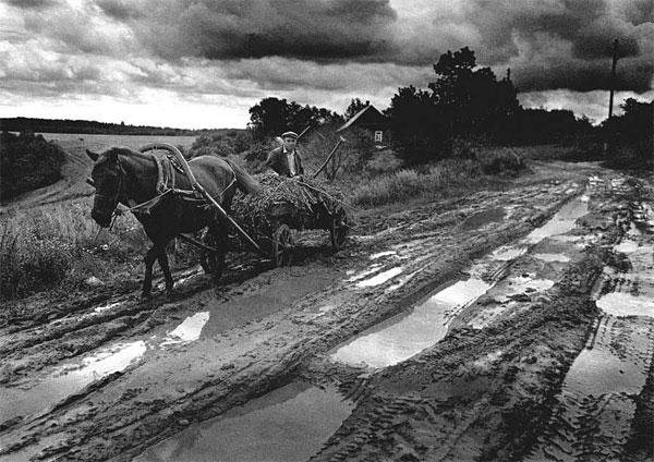 «Вясковая дарога», Владимир Нехайчик, 1985 год