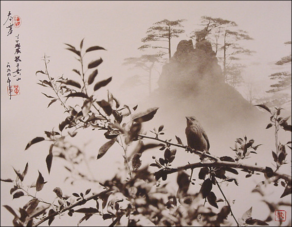 Дон Хонг-Оай (Don Hong-Oai)