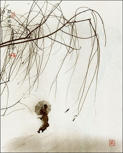 Дон Хонг-Оай (Don Hong-Oai)