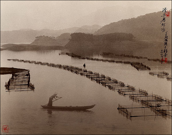 Дон Хонг-Оай (Don Hong-Oai)