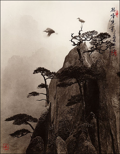 Дон Хонг-Оай (Don Hong-Oai)