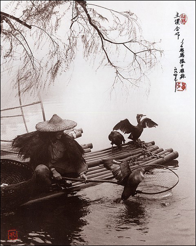 Дон Хонг-Оай (Don Hong-Oai)