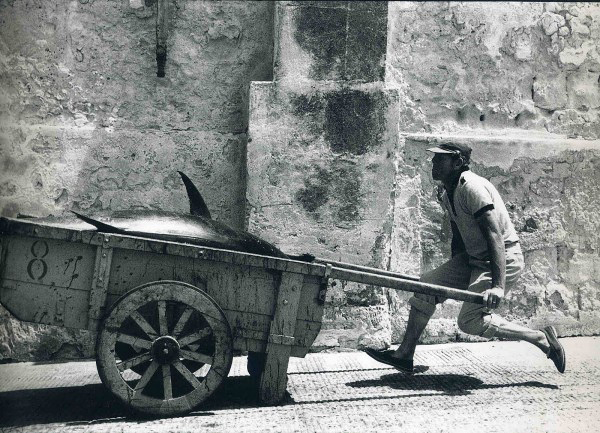 Леонард Фрид (Leonard Freed)