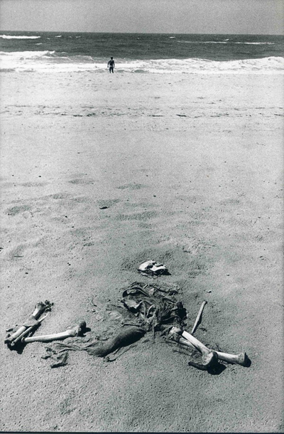 Леонард Фрид (Leonard Freed)