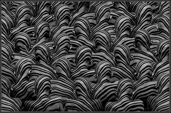 Миша Гордин (Misha Gordin)