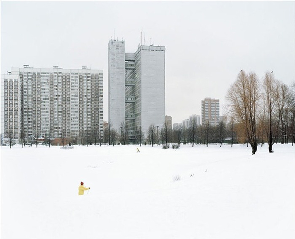 Александр Гронский