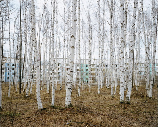 Александр Гронский