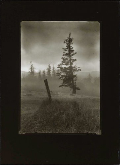 Йозеф Судек (Josef Sudek)