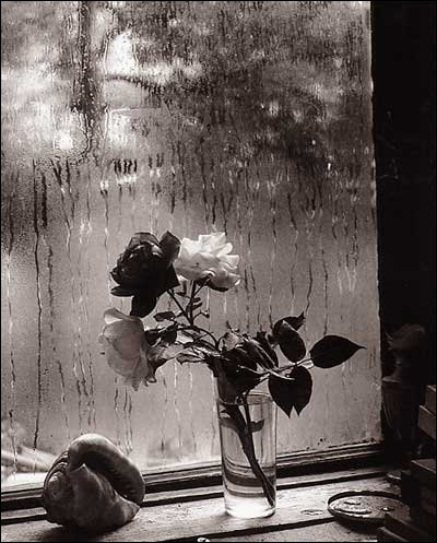 Йозеф Судек (Josef Sudek)