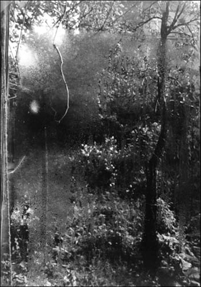 Йозеф Судек (Josef Sudek)