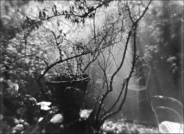 Йозеф Судек (Josef Sudek)