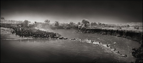 Ник Брандт (Nick Brandt)