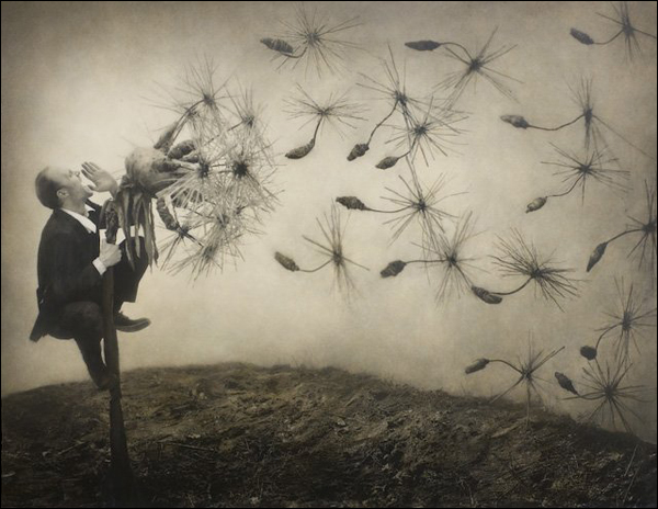 Роберт и Шана ПаркеХаррисон (Robert and Shana ParkeHarrison)