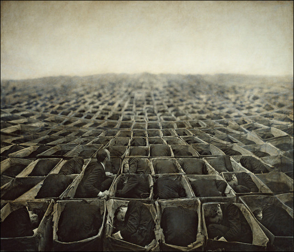 Роберт и Шана ПаркеХаррисон (Robert and Shana ParkeHarrison)