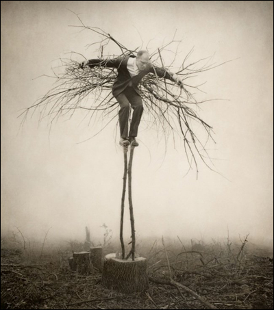 Роберт и Шана ПаркеХаррисон (Robert and Shana ParkeHarrison)