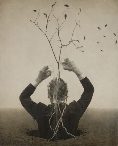 Роберт и Шана ПаркеХаррисон (Robert and Shana ParkeHarrison)