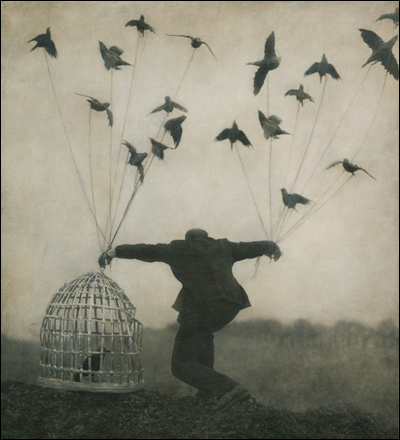 Роберт и Шана ПаркеХаррисон (Robert and Shana ParkeHarrison)