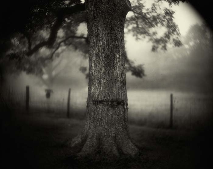 Салли Манн (Sally Mann)