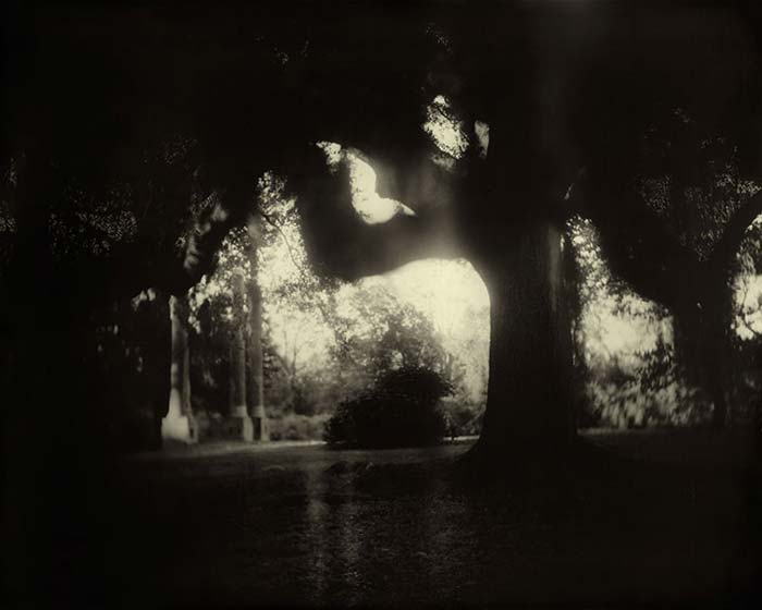 ����� ���� (Sally Mann)