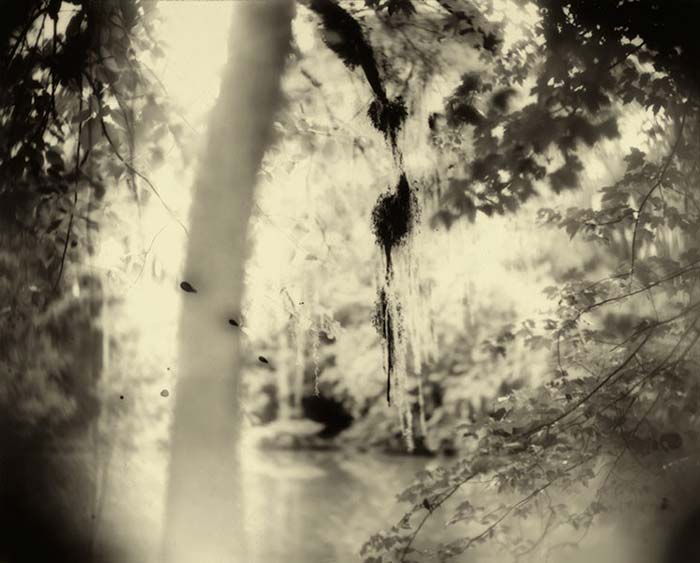 ����� ���� (Sally Mann)