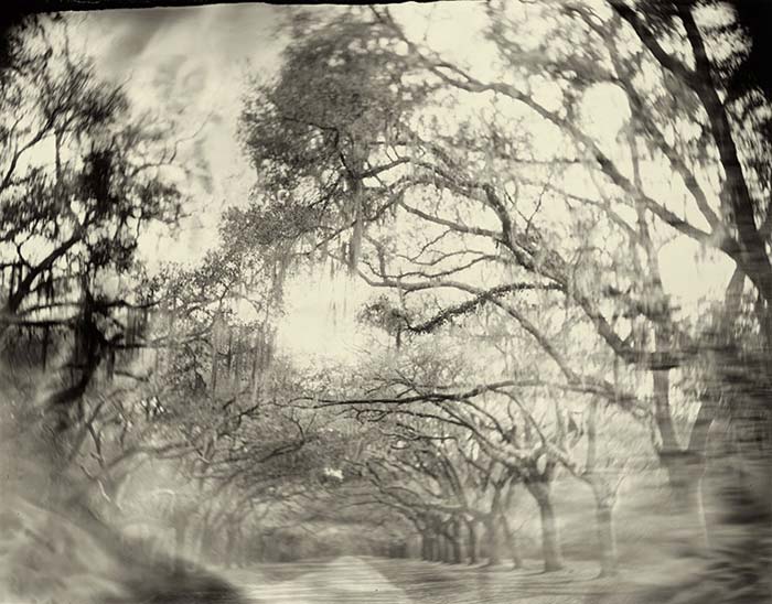   (Sally Mann)