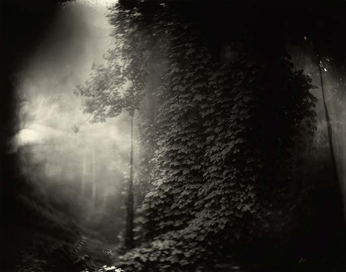����� ���� (Sally Mann)
