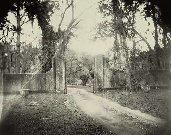 ����� ���� (Sally Mann)