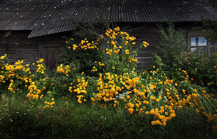 photo © Наталия Дорош