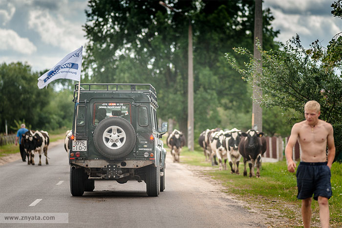 Ракович на Полесье. Впечатления участника экспедиции «Land Rover открывает Беларусь». Часть 1 и 2