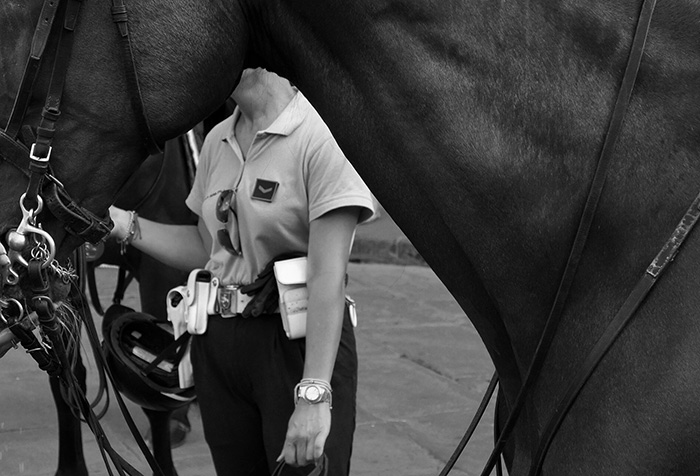 Беларуские фотографы вспоминают 2016 год. Фото: Сергей Кожемякин Беларуские фотографы вспоминают 2016 год. Фото: Сергей Кожемякин